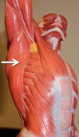 bf8956a87e35e95f81f4cf32afb5f3be